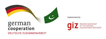 GIZ Logo